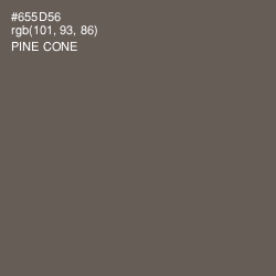 #655D56 - Pine Cone Color Image